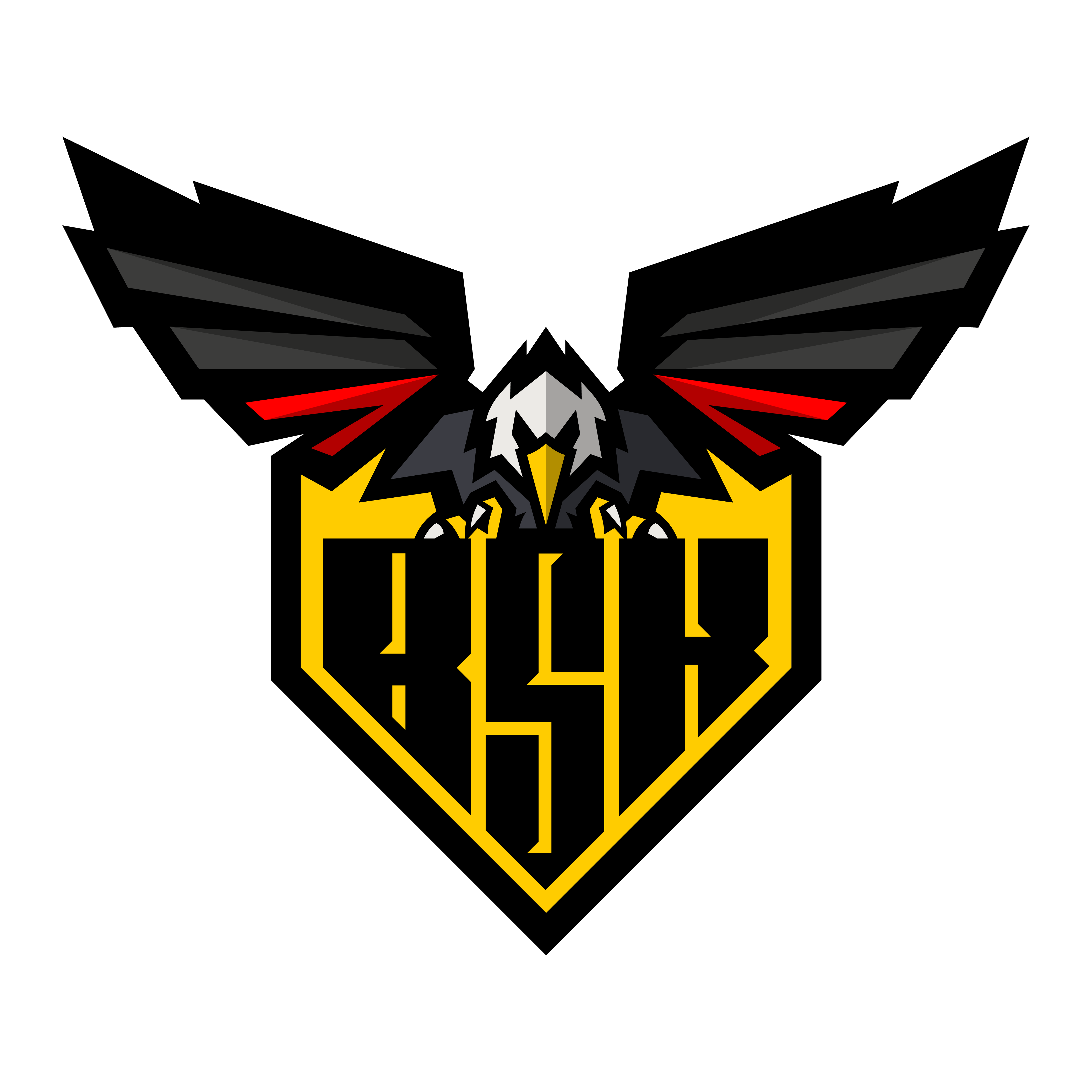 logo BSK